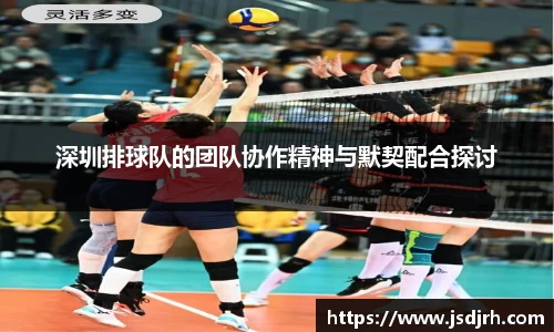 深圳排球队的团队协作精神与默契配合探讨